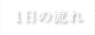 １日の流れ